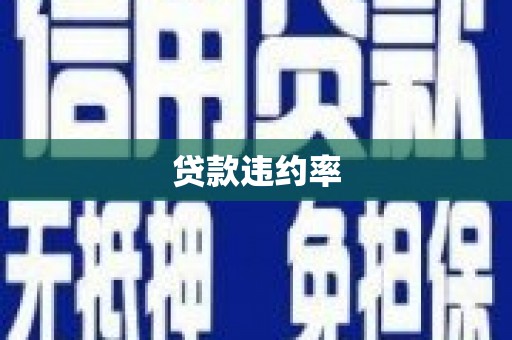 巧家贷款违约率