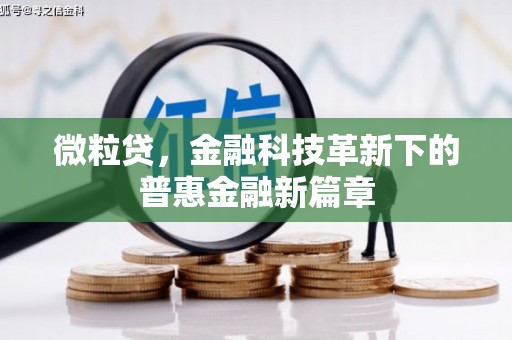 巧家微粒贷，金融科技革新下的普惠金融新篇章