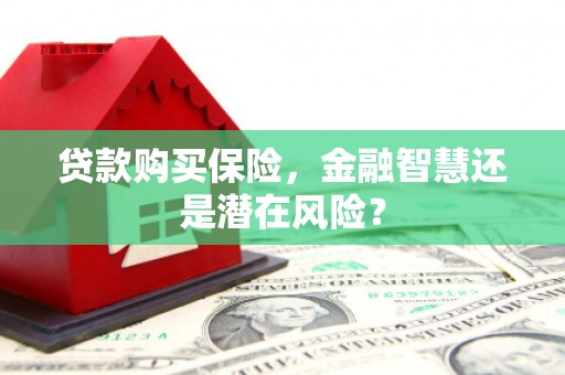 巧家贷款购买保险，金融智慧还是潜在风险？