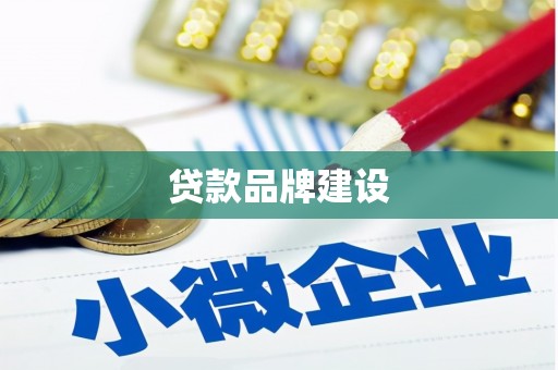 巧家贷款品牌建设