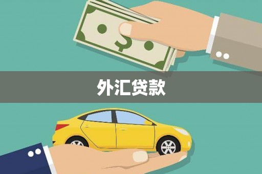 巧家外汇贷款