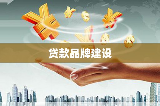 巧家贷款品牌建设