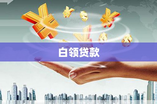 巧家白领贷款