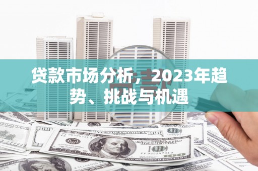 巧家贷款市场分析，2023年趋势、挑战与机遇