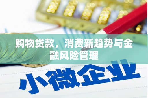 巧家购物贷款，消费新趋势与金融风险管理