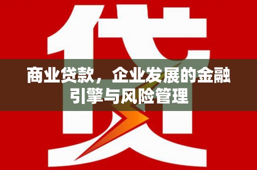 巧家商业贷款，企业发展的金融引擎与风险管理