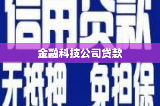 巧家金融科技公司贷款