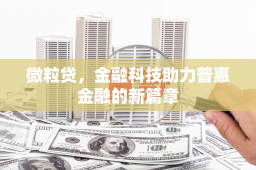 巧家微粒贷，金融科技助力普惠金融的新篇章