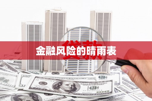 巧家金融风险的晴雨表