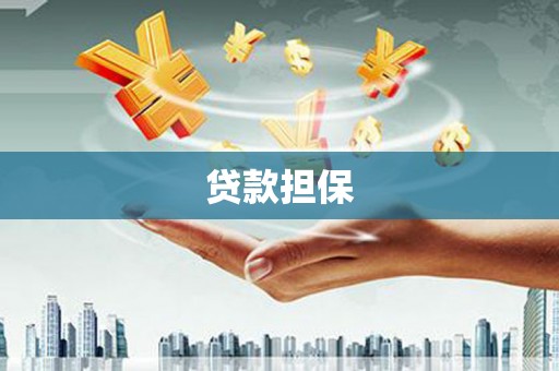 巧家贷款担保