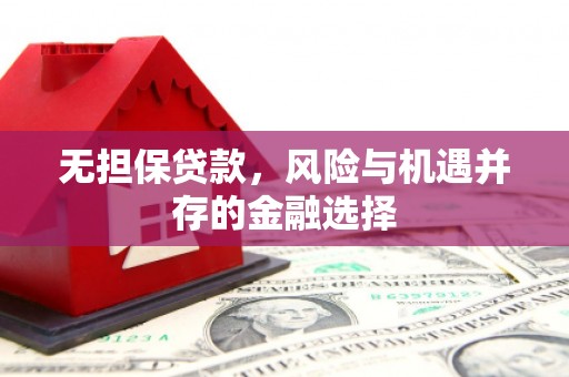 巧家无担保贷款，风险与机遇并存的金融选择
