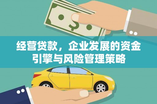 巧家经营贷款，企业发展的资金引擎与风险管理策略