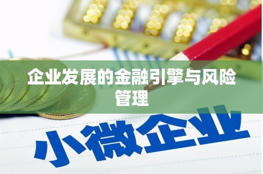巧家企业发展的金融引擎与风险管理