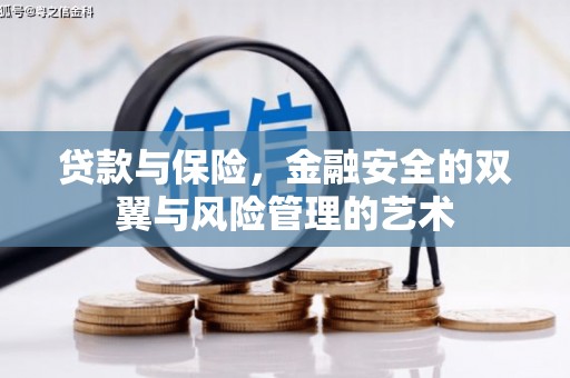 巧家贷款与保险，金融安全的双翼与风险管理的艺术