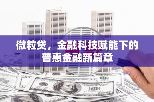 巧家微粒贷，金融科技赋能下的普惠金融新篇章