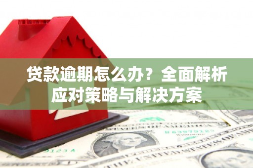 巧家贷款逾期怎么办？全面解析应对策略与解决方案