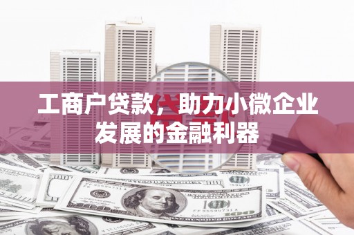 巧家工商户贷款，助力小微企业发展的金融利器