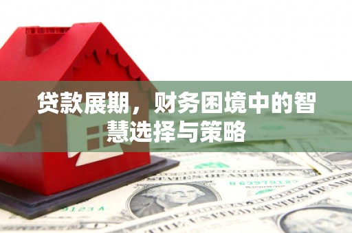 巧家贷款展期，财务困境中的智慧选择与策略