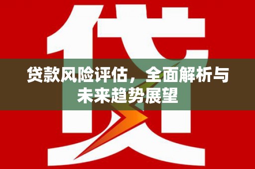 巧家贷款风险评估，全面解析与未来趋势展望