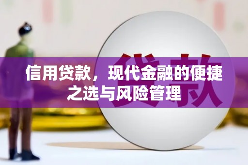 巧家信用贷款，现代金融的便捷之选与风险管理