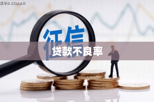 巧家贷款不良率