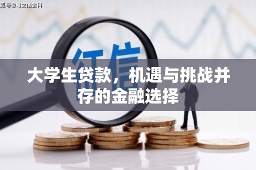 巧家大学生贷款，机遇与挑战并存的金融选择