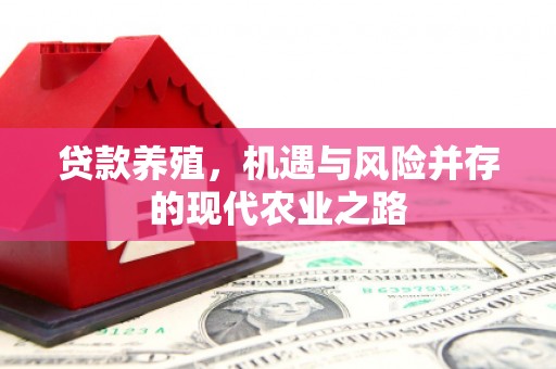 巧家贷款养殖，机遇与风险并存的现代农业之路