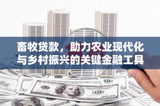 巧家畜牧贷款，助力农业现代化与乡村振兴的关键金融工具