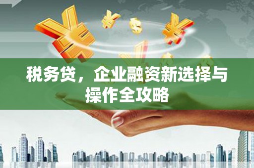巧家税务贷，企业融资新选择与操作全攻略