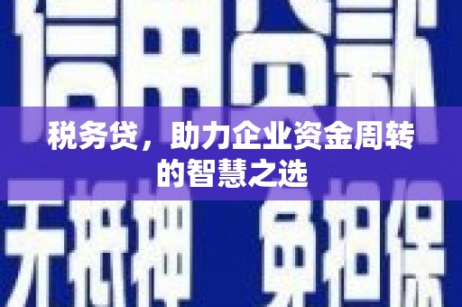 巧家税务贷，助力企业资金周转的智慧之选