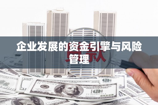 巧家企业发展的资金引擎与风险管理