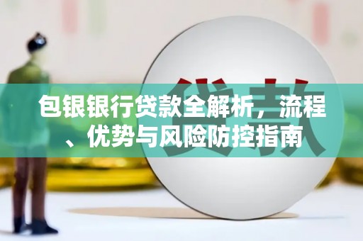 巧家包银银行贷款全解析，流程、优势与风险防控指南