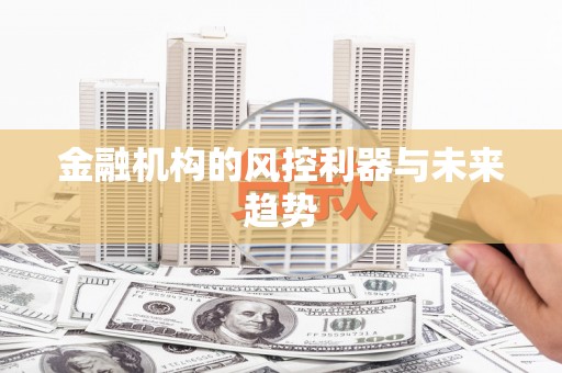 巧家金融机构的风控利器与未来趋势