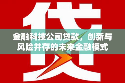 巧家金融科技公司贷款，创新与风险并存的未来金融模式