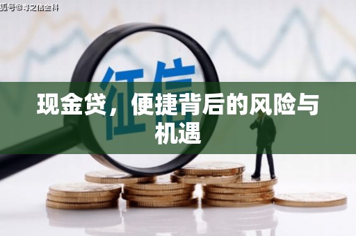 巧家现金贷，便捷背后的风险与机遇