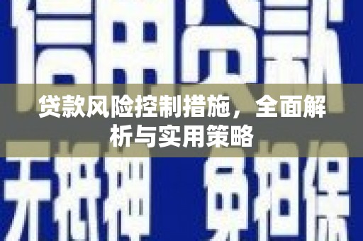 巧家贷款风险控制措施，全面解析与实用策略