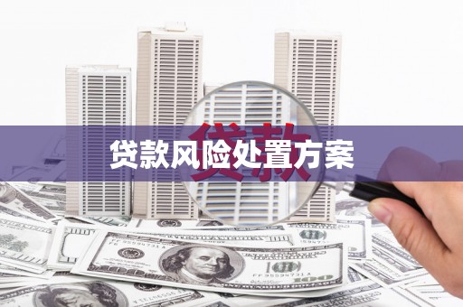 巧家贷款风险处置方案