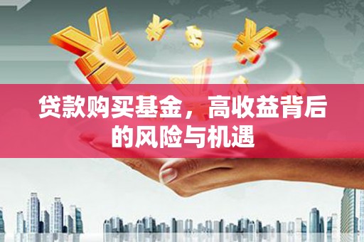 巧家贷款购买基金，高收益背后的风险与机遇