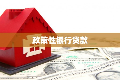 巧家政策性银行贷款