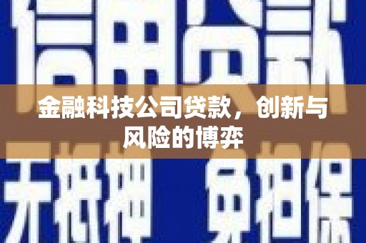 巧家金融科技公司贷款，创新与风险的博弈