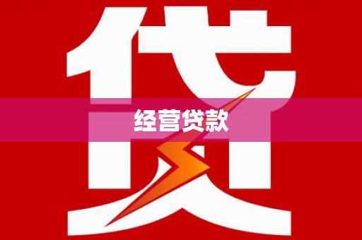 巧家经营贷款