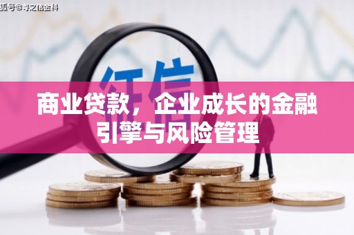 巧家商业贷款，企业成长的金融引擎与风险管理