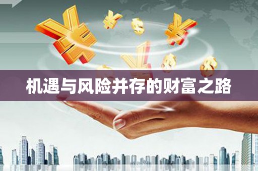 巧家机遇与风险并存的财富之路