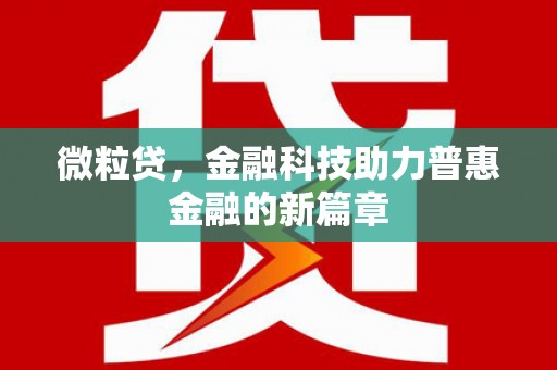 巧家微粒贷，金融科技助力普惠金融的新篇章
