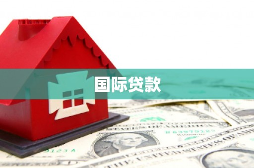巧家国际贷款