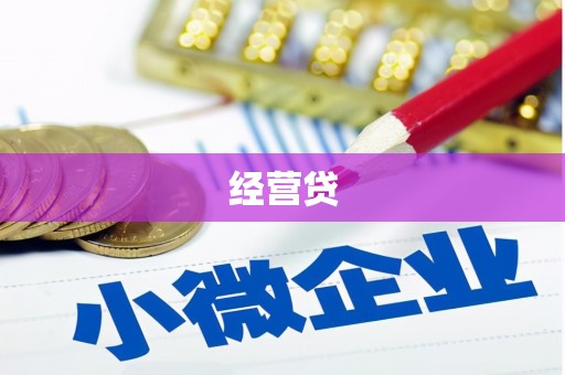 巧家经营贷