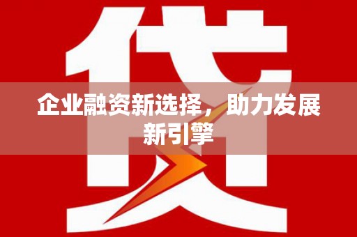 巧家企业融资新选择，助力发展新引擎