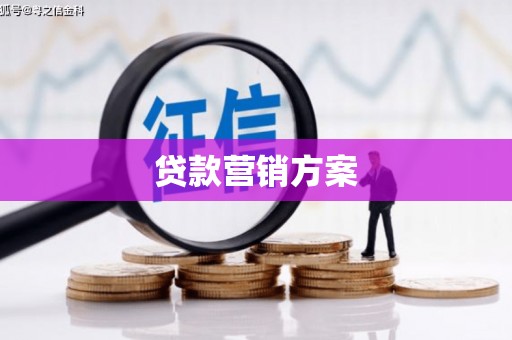 巧家贷款营销方案