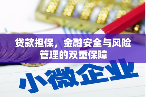 巧家贷款担保，金融安全与风险管理的双重保障