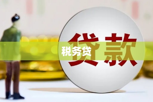 巧家税务贷